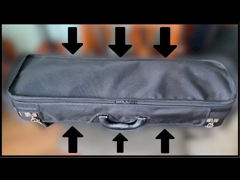 CE SE ASCUNDE ÎN CUTIA VIORII MELE ?!  (în detalii)