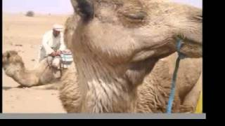 Bob Dorough - The Night We Called it a Day.mov