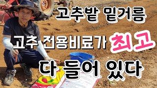 고추 밑거름 주기 ~ 이젠 고민 말고 고추 전용비료면 끝 고추재배  복합비료,