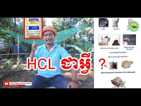 Hcl 99