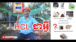 HCL 99% ជាថ្នាំអ្វី