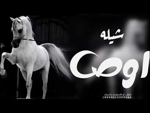 شيله اوص ولا كلمه حماسيه افخم شيله جديد 2024