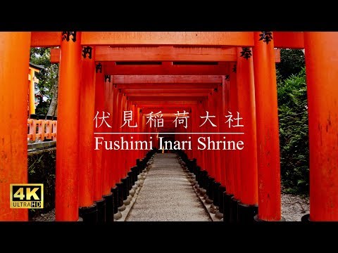 Fushimi Inari Taisha (Japan) Video
