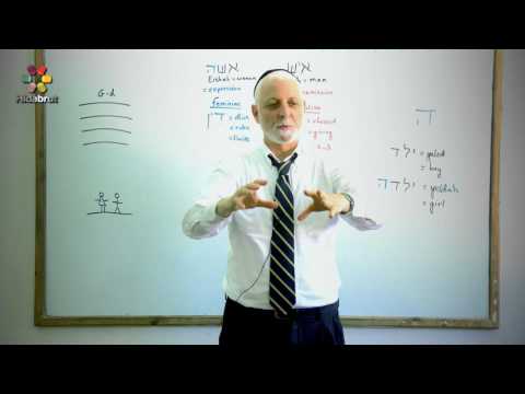 The Mystical Letter Hei - Part 7: Why Women Don't Wear a Kippah - Rabbi Yaakov Marcus