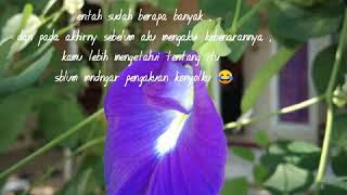 Download lagu Penantian suci mp3