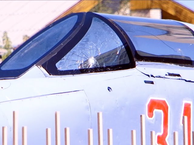 История под прицелом