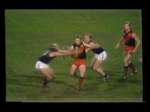 Essendon v Carlton Night Grand Final 1981