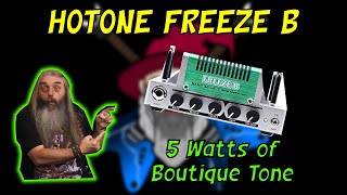 Hotone Freeze B Friedman Tones In Only 5 Watts