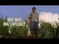 LOST EXPLAINED PART 6 - WALT