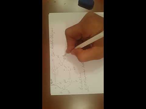 Seluloz Nedir