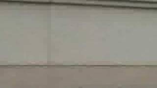 Download lagu Plat Band-MENDUA mp3 Download lagu Plat Band-MENDUA mp3