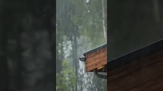 Relaxing Rain Aesthetic 🌧️✨ #rain #rainsounds #dormirserapido #sompararelaxar #whitenoise