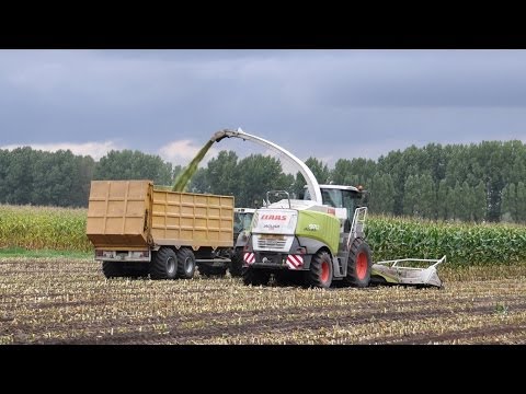 Claas Jaguar 970 - Loonbedrijf Neyt -  mais 2013