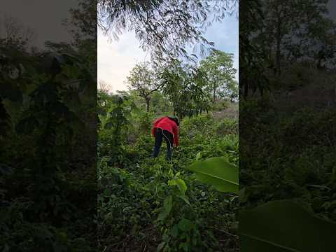 OPORTUNIDAD DE INVERSIÓN! 🌳 Hermosa propiedad ala venta canton las ventanas el paisnal san salvador