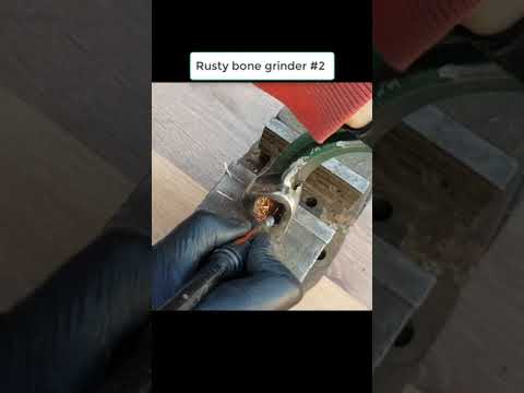 Rusty bone grinder Restoration P2