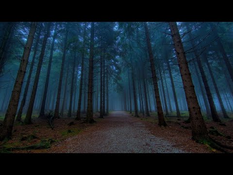 Janel Drewis - In The Pines - Azərbaycan Dilində Altyazılı