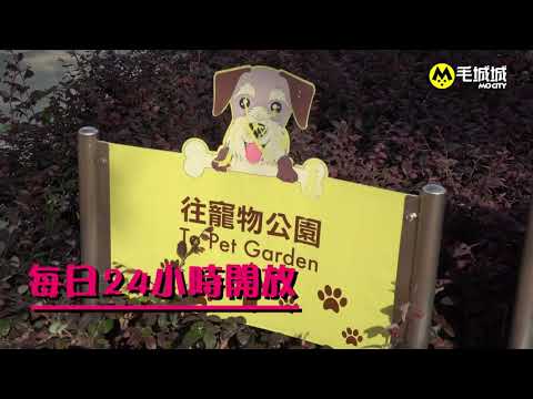 【十八區狗公園】元朗區洪德路休憩處｜毛城城 MoCityHK