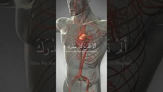 Download lagu Surah Ash Sharh | Mishary Rashid Al Afasy | Quranic Recitations | #havemercy #religion mp3