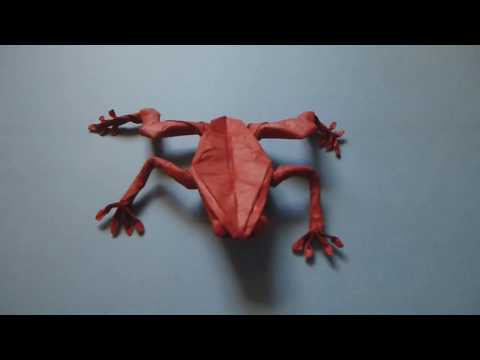 Origami Tree Frog l Robert J Lang l Not A Tutorial