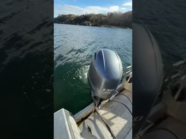 1214107 Workboat - Alutec LC 610 -2019