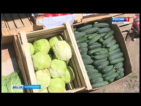 Вести «Калмыкия»: дневной выпуск 25.04.2018