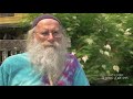Dean Evenson on Inner Peace & Nature's Role
