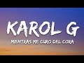KAROL G - Mientras Me Curo Del Cora (Letra/Lyrics)