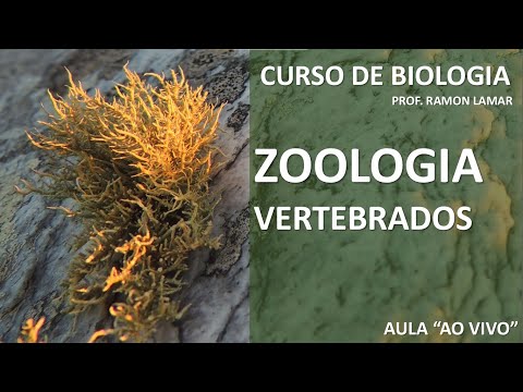 ZOOLOGIA DOS VERTEBRADOS