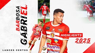Gabriel Barbosa • Centroavante & Extremo • Highlights