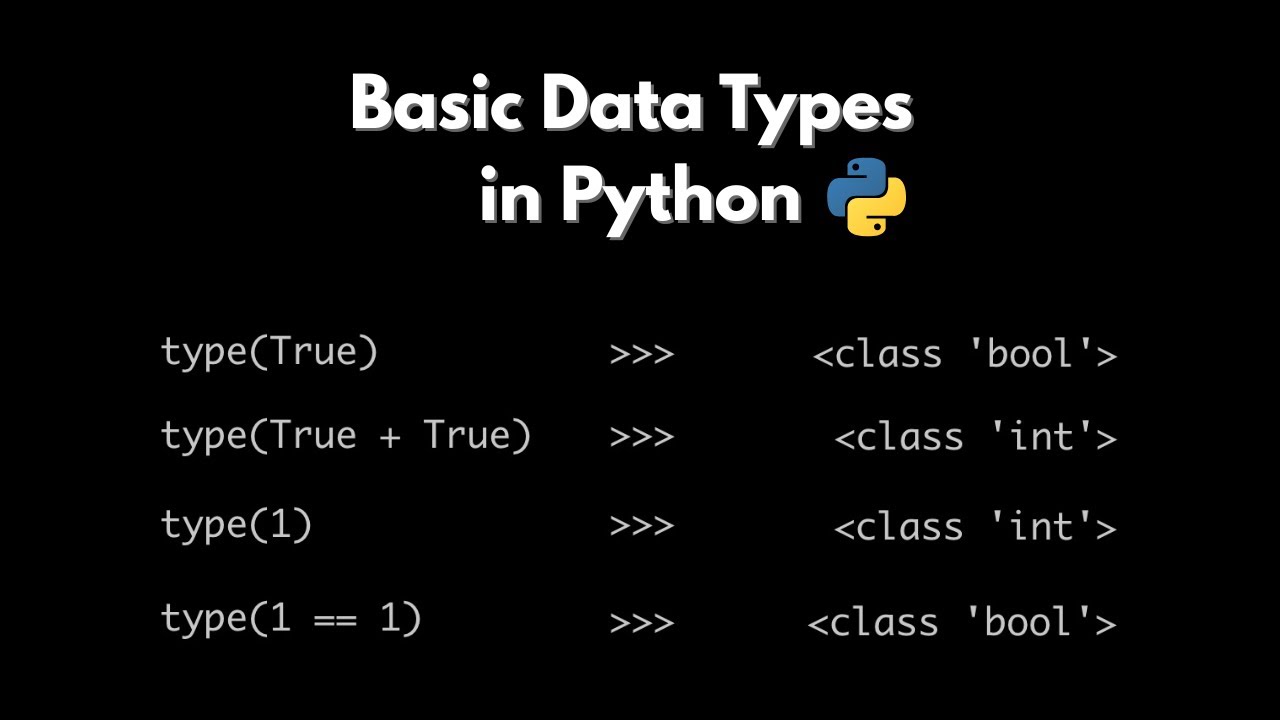 Python Data Types Explained | Why True - True = False?