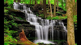 Entering Twin Falls - Nicholas Gunn ( Music for Peace )