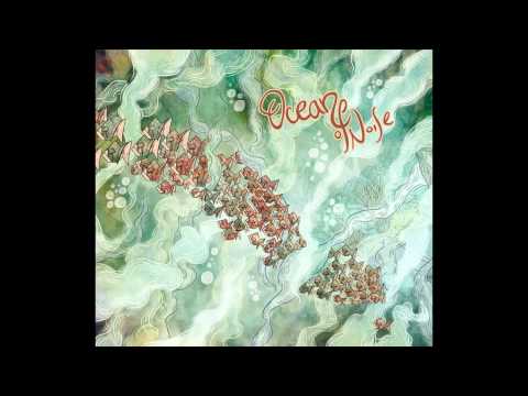 Ocean of Noise - All I Want To Say (feat. Magdalena Noweta)