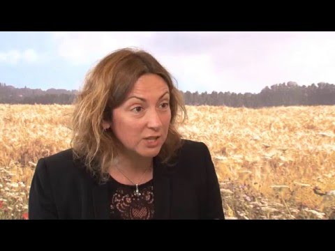 FFA2016: Maelenn Poitrenaud interview