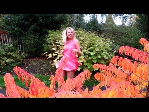 Northern Soul Girl Dancing 19