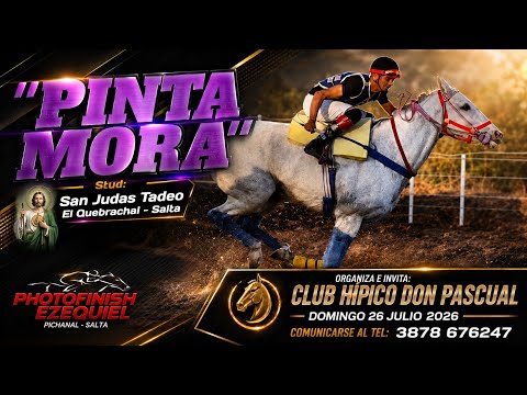 1°PINTA  MORA Club Hípico Don Pascual Apolinario Saravia-Salta Domingo 26 Julio 2026