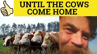 🔵 Until the Cows Come Home - English Idioms - Till the Cows Come Home Meaning and Examples