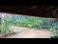 Rain Rain Old Nalukettu House