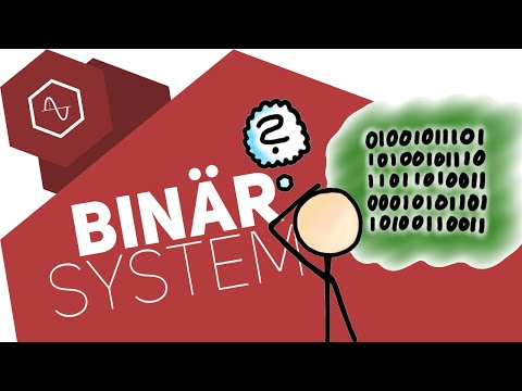 The Binary System / Dual System ft. brainfaqk