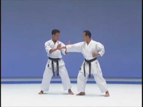Matsumura Rohai Karate Do Shito Ryu kata & bunkai