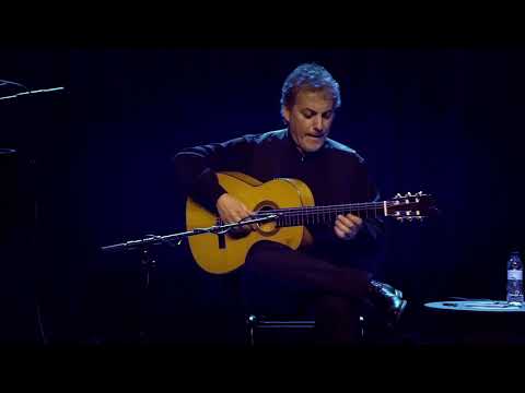 Pedro Javier González | Se acabó el alboroto | Live 2020