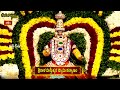 శ్రీకాళహస్తీశ్వర స్వామి కల్యాణం Highlights