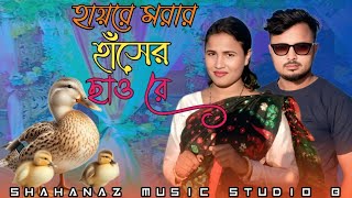 Download lagu হায়রে মরার হাঁসের  🦆🪿🦆ছাও রে  hire morara hasher sawre  Bangla new song  mp3