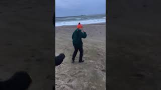 Blake’s vs the wind