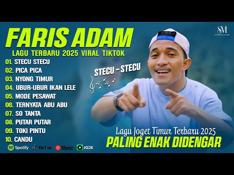 Faris Adam - STECU (Lirik) | Juan Reza - PICA PICA | NYONG TIMUR || LAGU POP TIMUR VIRAL TIKTOK 2025