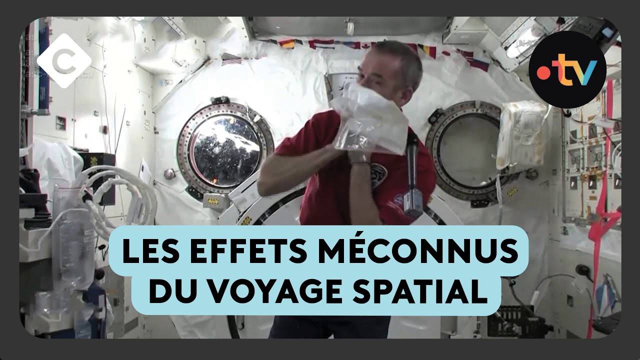 Dans la peau des astronautes : la réalité derrière le mythe