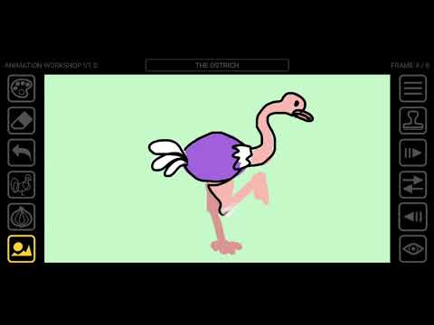 Animation Workshop Video