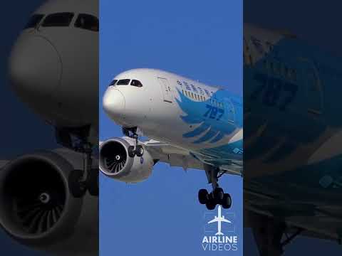 Chegadas do Dreamliner da China Southern Airlines em Los Angeles (LAX)