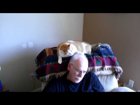 I love cleaning my human pets.