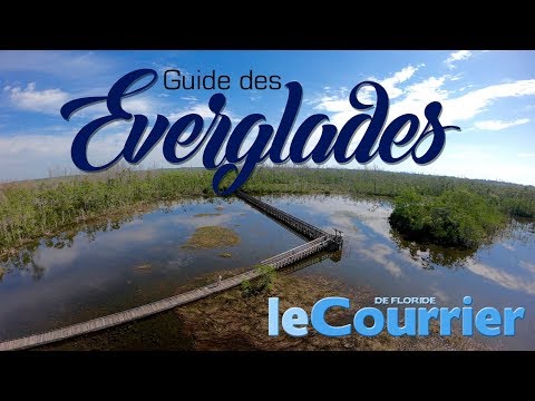 download lagu mp3 mp4 Les Everglades, download lagu Les Everglades gratis, unduh video klip Les Everglades