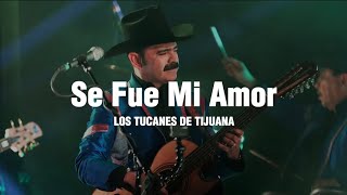 Se Fue Mi Amor - Los Tucanes De Tijuana (LETRA)